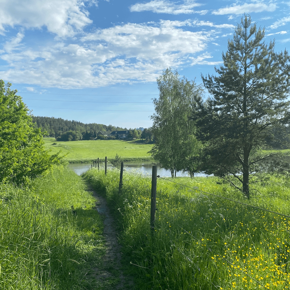Kotimainen ihonhoito: miksi suomalainen iho tarvitsee erilaista hoitoa